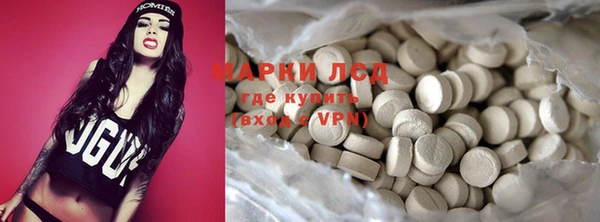 сатива Магас