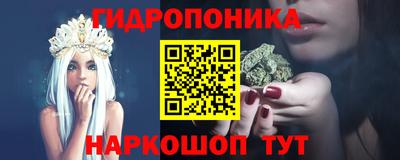 индика Краснознаменск