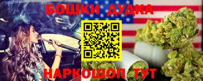 индика Краснознаменск