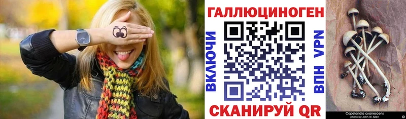 Галлюциногенные грибы Psilocybe магазин продажи Петрозаводск