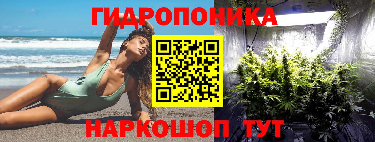 Шишки марихуана THC 21%  Бошки Шишки гибрид  МАРИХУАНА LSD WEED  Петрозаводск  Вход с VPN  Марихуана OG Kush 